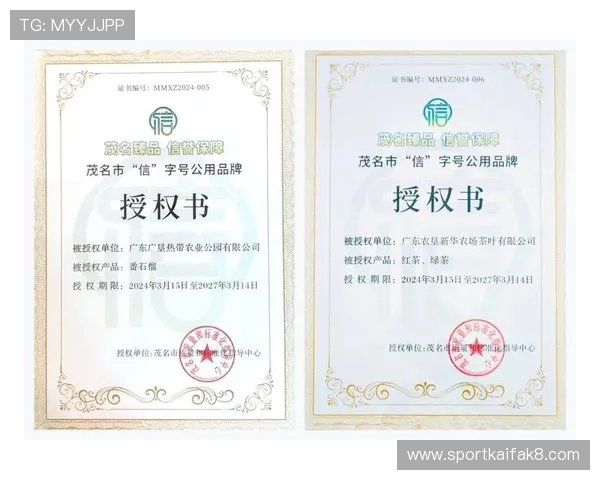 凯发手机娱乐官网举办线上线下推广活动扩大品牌影响力和市场份额 凯发手机娱乐官网举办线上线下推广活动扩大品牌影响力和市场份额